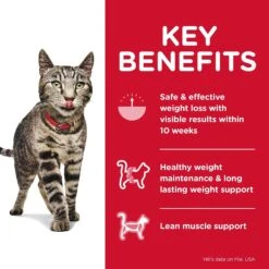 Hills Hill's Science Diet Cat Food Adult Perfect Weight 15 Hills Hill's Science Diet Cat Food Adult Perfect Weight -Pet Supplies Sales hills science diet cat food adult perfect weightkellyville pets 821176