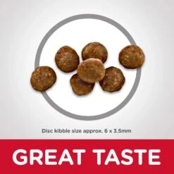 Hills Hill's Science Diet Cat Food Kitten Indoor -Pet Supplies Sales hills science diet cat food kitten indoorkellyville pets 306828