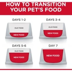 Hills Hill's Science Diet Cat Food Kitten Indoor -Pet Supplies Sales hills science diet cat food kitten indoorkellyville pets 900793