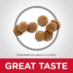 Hills Hill's Science Diet Cat Food Kitten -Pet Supplies Sales hills science diet cat food kittenkellyville pets 983302