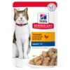 Hills Hill's Science Diet Cat Food Pouch Adult 7+ Chicken -Pet Supplies Sales hills science diet cat food pouch adult 7 chickenkellyville pets 683780