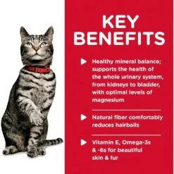 Hills Hill's Science Diet Cat Food Pouch Adult Urinary Hairball Control Chicken 11 Hills Hill's Science Diet Cat Food Pouch Adult Urinary Hairball Control Chicken -Pet Supplies Sales hills science diet cat food pouch adult urinary hairball control chickenkellyville pets 325571