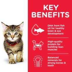 Hills Hill's Science Diet Cat Food Pouch Kitten Ocean Fish 11 Hills Hill's Science Diet Cat Food Pouch Kitten Ocean Fish -Pet Supplies Sales hills science diet cat food pouch kitten ocean fishkellyville pets 566267