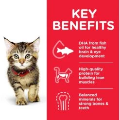 Hills Hill's Science Diet Cat Food Pouch Kitten Tender Chicken Dinner -Pet Supplies Sales hills science diet cat food pouch kitten tender chicken dinnerkellyville pets 636802