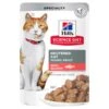 Hills Hill's Science Diet Cat Food Pouch Neutered Cat Salmon