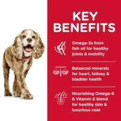 Hills Hill's Science Diet Dog Food Adult 11+ Small Paws Senior -Pet Supplies Sales hills science diet dog food adult 11 small paws seniorkellyville pets 971552