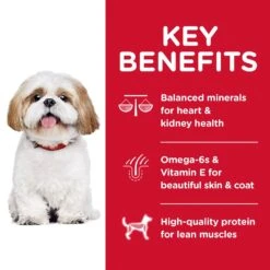 Hills Hill's Science Diet Dog Food Adult 7+ Small Bites Senior -Pet Supplies Sales hills science diet dog food adult 7 small bites seniorkellyville pets 384924