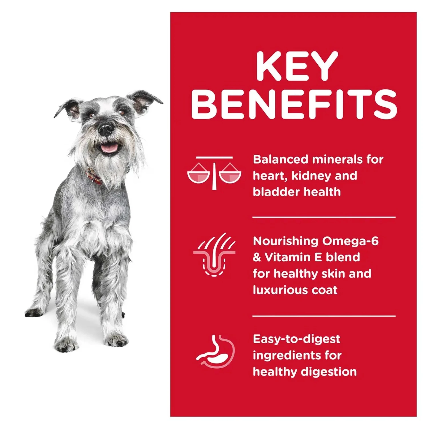 Hills Hill's Science Diet Dog Food Adult 7+ Small Paws Senior 6 Hills Hill's Science Diet Dog Food Adult 7+ Small Paws Senior - Image 4