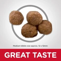 Hills Hill's Science Diet Dog Food Adult Healthy Mobility -Pet Supplies Sales hills science diet dog food adult healthy mobilitykellyville pets 231854