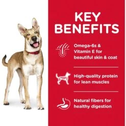 Hills Hill's Science Diet Dog Food Adult Lamb Meal & Brown Rice 14 Hills Hill's Science Diet Dog Food Adult Lamb Meal & Brown Rice -Pet Supplies Sales hills science diet dog food adult lamb meal brown ricekellyville pets 197731