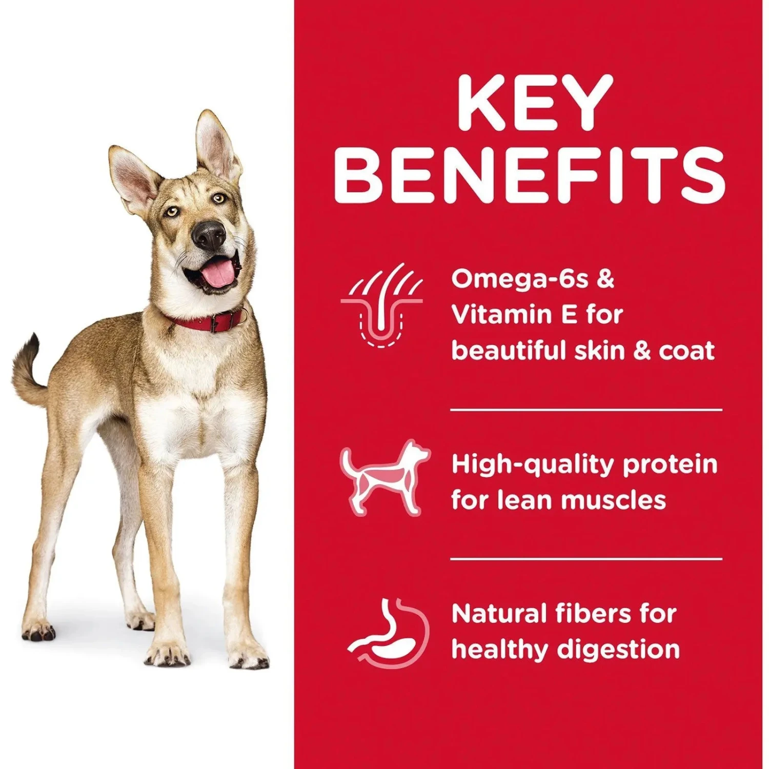 Hills Hill's Science Diet Dog Food Adult Lamb Meal & Brown Rice 5 Hills Hill's Science Diet Dog Food Adult Lamb Meal & Brown Rice - Image 3