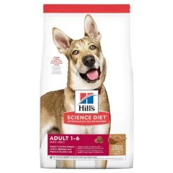 Hills Hill's Science Diet Dog Food Adult Lamb Meal & Brown Rice