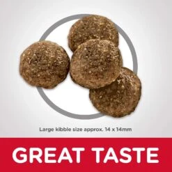 Hills Hill's Science Diet Dog Food Adult Large Breed Lamb Meal & Brown Rice -Pet Supplies Sales hills science diet dog food adult large breed lamb meal brown ricekellyville pets 171291