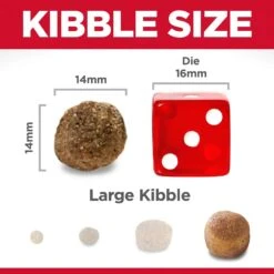 Hills Hill's Science Diet Dog Food Adult Large Breed Lamb Meal & Brown Rice -Pet Supplies Sales hills science diet dog food adult large breed lamb meal brown ricekellyville pets 541897