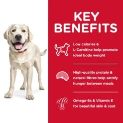 Hills Hill's Science Diet Dog Food Adult Light Large Breed -Pet Supplies Sales hills science diet dog food adult light large breedkellyville pets 456812