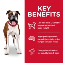 Hills Hill's Science Diet Dog Food Adult Light -Pet Supplies Sales hills science diet dog food adult lightkellyville pets 963016