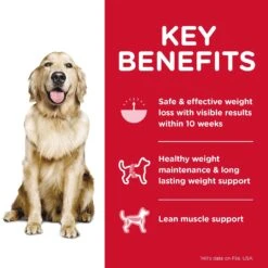 Hills Hill's Science Diet Dog Food Adult Perfect Weight -Pet Supplies Sales hills science diet dog food adult perfect weightkellyville pets 233747