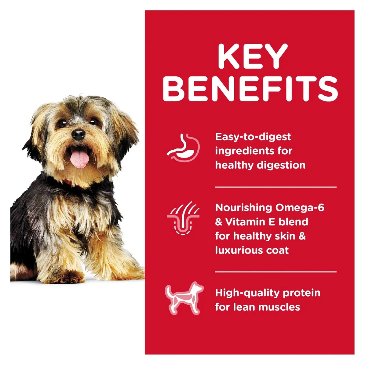 Hills Hill's Science Diet Dog Food Adult Small Paws Chicken 6 Hills Hill's Science Diet Dog Food Adult Small Paws Chicken - Image 4