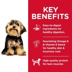 Hills Hill's Science Diet Dog Food Adult Small Paws Lamb Meal & Brown Rice -Pet Supplies Sales hills science diet dog food adult small paws lamb meal brown ricekellyville pets 403132