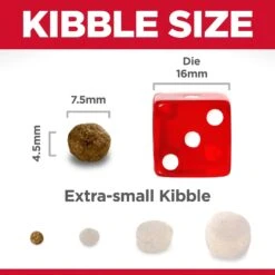 Hills Hill's Science Diet Dog Food Adult Small Paws Lamb Meal & Brown Rice -Pet Supplies Sales hills science diet dog food adult small paws lamb meal brown ricekellyville pets 548577