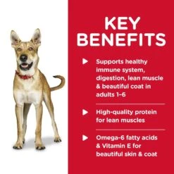 Hills Hill's Science Diet Dog Food Can Adult Beef & Barley Entrée -Pet Supplies Sales hills science diet dog food can adult beef barley entreekellyville pets 137192