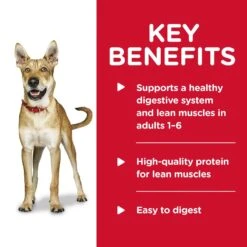 Hills Hill's Science Diet Dog Food Can Adult Savoury Stew Beef & Vegetables -Pet Supplies Sales hills science diet dog food can adult savoury stew beef vegetableskellyville pets 516602