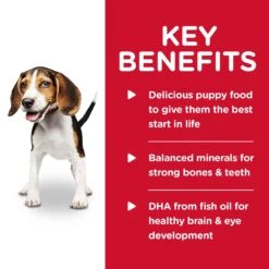 Hills Hill's Science Diet Dog Food Can Puppy Chicken & Barley Entrée -Pet Supplies Sales hills science diet dog food can puppy chicken barley entreekellyville pets 997707