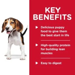 Hills Hill's Science Diet Dog Food Can Puppy Savoury Stew Chicken & Vegetables -Pet Supplies Sales hills science diet dog food can puppy savoury stew chicken vegetableskellyville pets 203322