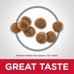 Hills Hill's Science Diet Dog Food Puppy -Pet Supplies Sales hills science diet dog food puppykellyville pets 436058