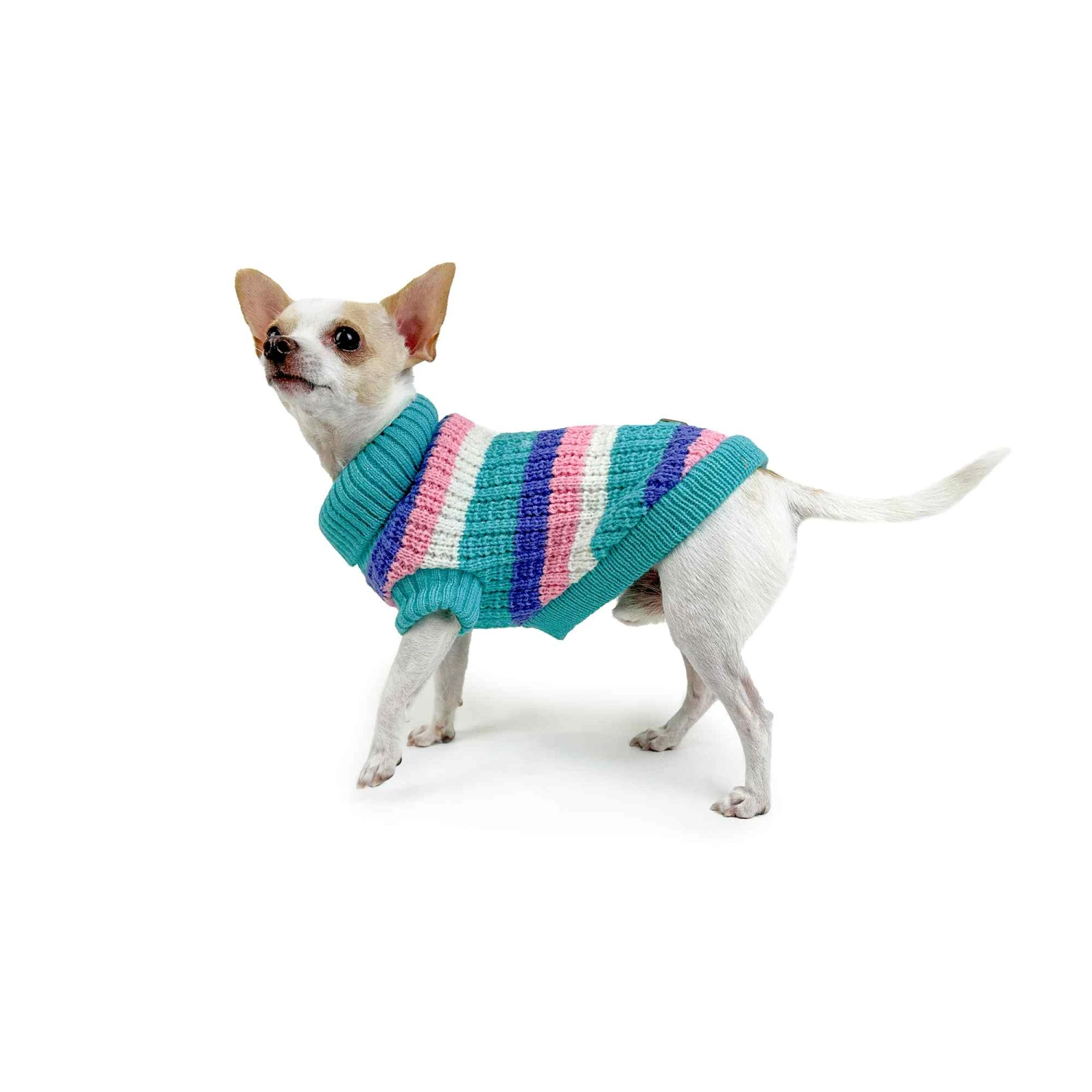 Huskimo Soho Dog Jumper - Cyan Crush 4 Huskimo Soho Dog Jumper - Cyan Crush - Image 2