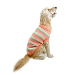 Huskimo Soho Dog Jumper - Sherbert -Pet Supplies Sales huskimo soho dog jumper sherbertkellyville pets 956154