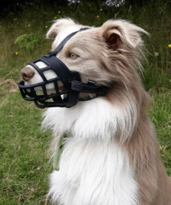 Huskimo Specialist Freedom Dog Muzzle -Pet Supplies Sales huskimo specialist freedom dog muzzlekellyville pets 769661