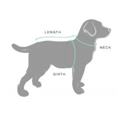 Huskimo Summit Pro Dog Coat - Bells Beach -Pet Supplies Sales huskimo summit pro dog coat ulurukellyville pets 185129 1