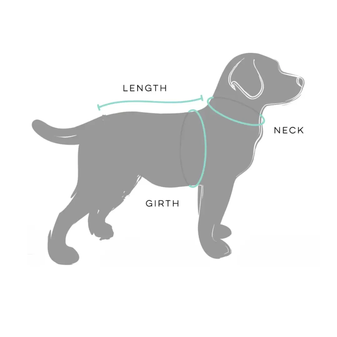 Huskimo Mt Buller Dog Coat - Periwinkle 7 Huskimo Mt Buller Dog Coat - Periwinkle - Image 5