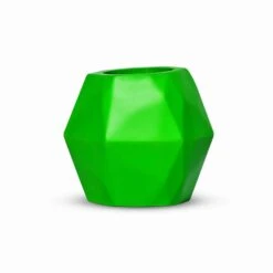 Insectimo Branch Jar