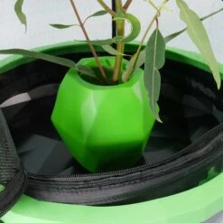 Insectimo Branch Jar -Pet Supplies Sales insectimo branch jarkellyville pets 514493