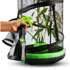 Insectimo Mister -Pet Supplies Sales insectimo misterkellyville pets 739959