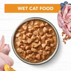 Ivory Coat Cat Food Pouch Adult Chicken In Gravy 15 Ivory Coat Cat Food Pouch Adult Chicken In Gravy -Pet Supplies Sales ivory coat cat food pouch adult chicken in gravykellyville pets 768419