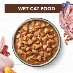 Ivory Coat Cat Food Pouch Adult Chicken & Kangaroo In Gravy -Pet Supplies Sales ivory coat cat food pouch adult chicken kangaroo in gravykellyville pets 903889
