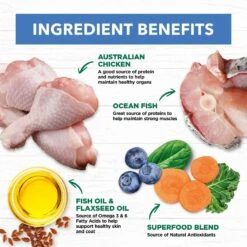 Ivory Coat Cat Food Pouch Adult Chicken & Ocean Fish In Jelly 17 Ivory Coat Cat Food Pouch Adult Chicken & Ocean Fish In Jelly -Pet Supplies Sales ivory coat cat food pouch adult chicken ocean fish in jellykellyville pets 820397