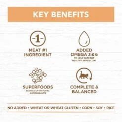 Ivory Coat Cat Food Pouch Kitten Chicken In Gravy 18 Ivory Coat Cat Food Pouch Kitten Chicken In Gravy -Pet Supplies Sales ivory coat cat food pouch kitten chicken in gravykellyville pets 185961