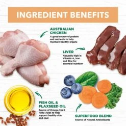 Ivory Coat Cat Food Pouch Kitten Chicken In Gravy 17 Ivory Coat Cat Food Pouch Kitten Chicken In Gravy -Pet Supplies Sales ivory coat cat food pouch kitten chicken in gravykellyville pets 375103