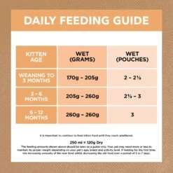 Ivory Coat Cat Food Pouch Kitten Chicken In Gravy 14 Ivory Coat Cat Food Pouch Kitten Chicken In Gravy -Pet Supplies Sales ivory coat cat food pouch kitten chicken in gravykellyville pets 750250