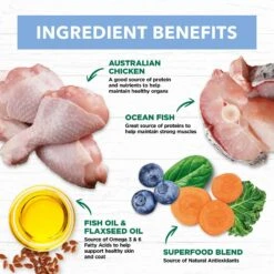 Ivory Coat Cat Food Pouch Kitten Chicken & Ocean Fish In Jelly -Pet Supplies Sales ivory coat cat food pouch kitten chicken ocean fish in jellykellyville pets 257971