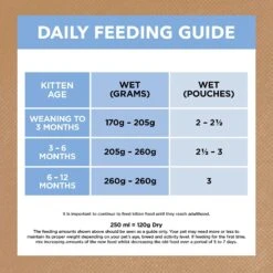 Ivory Coat Cat Food Pouch Kitten Chicken & Ocean Fish In Jelly -Pet Supplies Sales ivory coat cat food pouch kitten chicken ocean fish in jellykellyville pets 651634