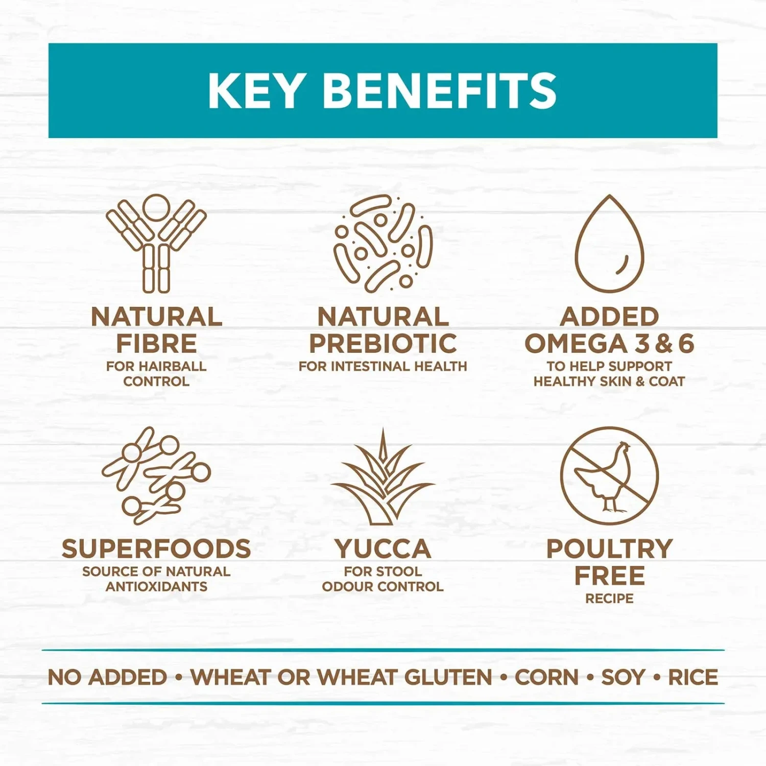 Ivory Coat Grain Free Cat Food Adult Ocean Fish & Salmon 5 Ivory Coat Grain Free Cat Food Adult Ocean Fish & Salmon - Image 3