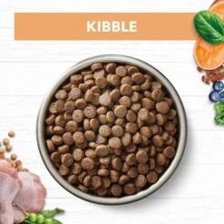 Ivory Coat Grain Free Cat Food Kitten Chicken -Pet Supplies Sales ivory coat grain free cat food kitten chickenkellyville pets 217569