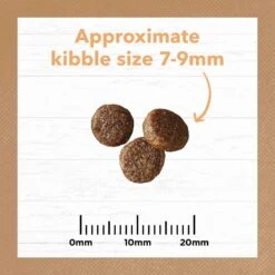 Ivory Coat Grain Free Cat Food Kitten Chicken -Pet Supplies Sales ivory coat grain free cat food kitten chickenkellyville pets 232562