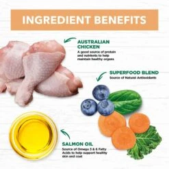 Ivory Coat Grain Free Cat Food Kitten Chicken -Pet Supplies Sales ivory coat grain free cat food kitten chickenkellyville pets 591962