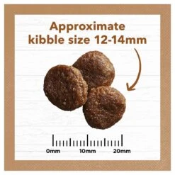 Ivory Coat Grain Free Dog Food Adult Lamb & Kangaroo -Pet Supplies Sales ivory coat grain free dog food adult lamb kangarookellyville pets 886369